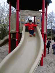 Max on the slide at the playground near the Hamadryas Baboons at the Safaripark Beekse Bergen, during the Winterdroom period