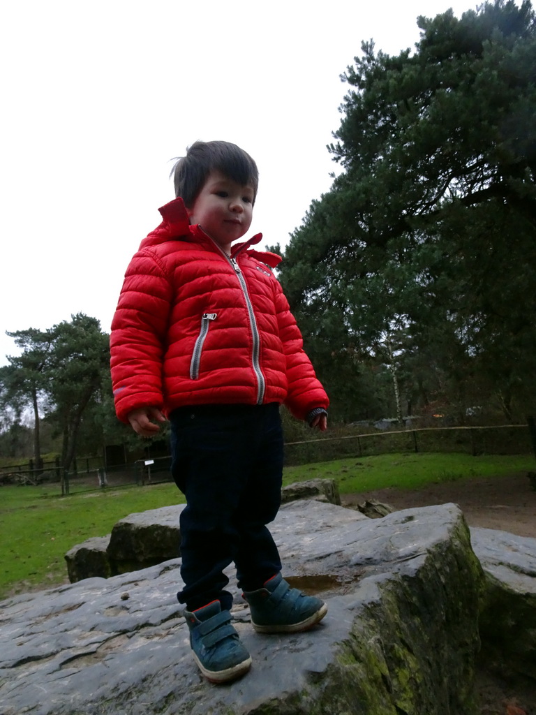 Max at the Petting Zoo at the Afrikadorp village at the Safaripark Beekse Bergen, during the Winterdroom period