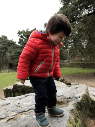 Max at the Petting Zoo at the Afrikadorp village at the Safaripark Beekse Bergen, during the Winterdroom period