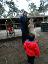 Max with Goats at the Petting Zoo at the Afrikadorp village at the Safaripark Beekse Bergen, during the Winterdroom period