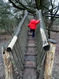 hilvarenbeek_2_129 - 453 kb - 768x1024 - Max at the playground near the Ranger Camp at the Safaripark Beekse Bergen, during the Winterdroom period Max at the playground near the Ranger Camp at the Safaripark Beekse Bergen, during the Winterdroom period