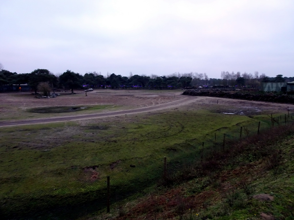 Grassland at the Safaripark Beekse Bergen, during the Winterdroom period