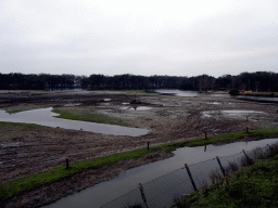 Grassland at the Safaripark Beekse Bergen, during the Winterdroom period