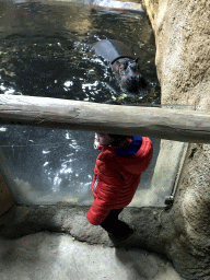 Max with Hippopotamus at the Hippopotamus and Crocodile enclosure at the Safaripark Beekse Bergen, during the Winterdroom period