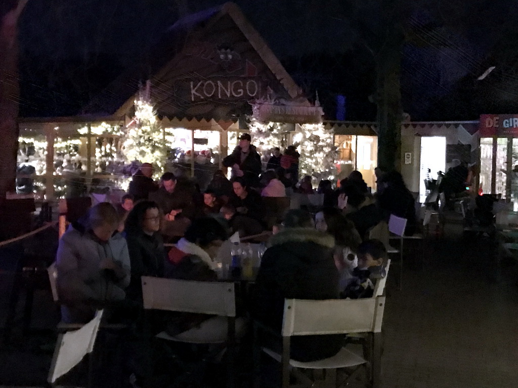 Front of the Kongo restaurant at the Kongoplein square at the Safaripark Beekse Bergen, during the Winterdroom period, by night