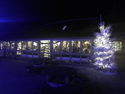 Front of the Kongo restaurant at the Kongoplein square at the Safaripark Beekse Bergen, during the Winterdroom period, by night