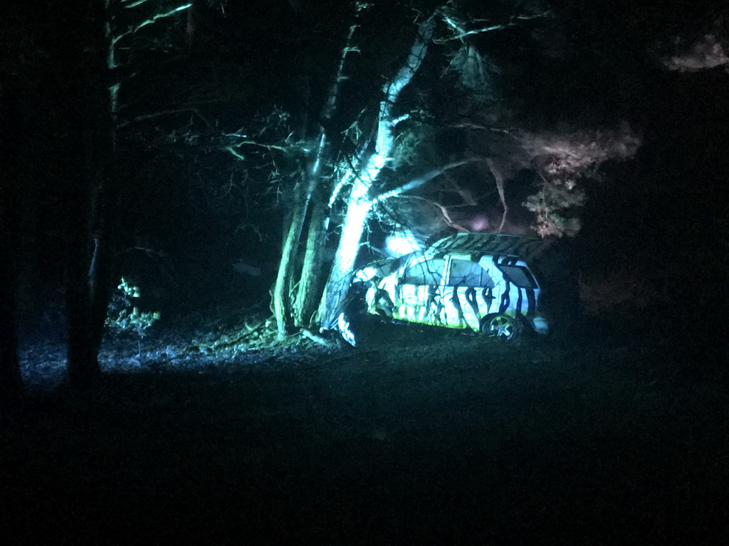 Safari Jeep parked against a tree at the Safaripark Beekse Bergen, viewed from the bus during the Winterdroom Night Bus Safari, by night