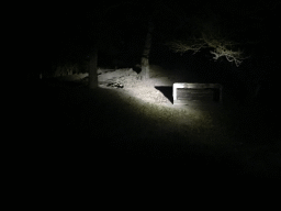 Area of the African Wild Dogs at the Safaripark Beekse Bergen, viewed from the bus during the Winterdroom Night Bus Safari, by night