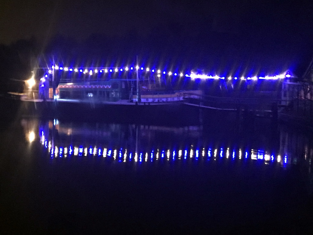 Safari boat at the Safaripark Beekse Bergen, viewed from the bus during the Winterdroom Night Bus Safari, by night