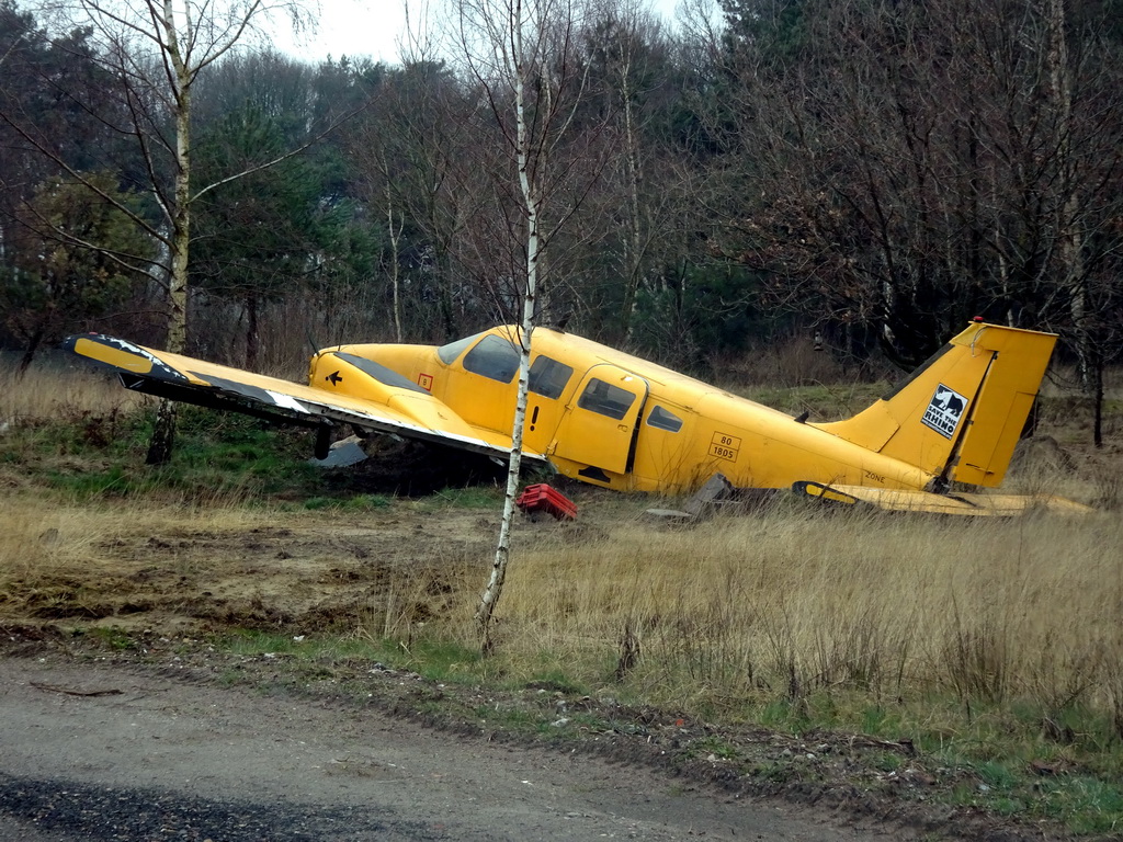 Airplane at the Safaripark Beekse Bergen, viewed from the car during the Autosafari