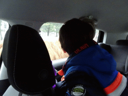 Max and a Highland Cattle at the Safaripark Beekse Bergen, viewed from the car during the Autosafari