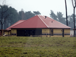 Holiday homes of the Safari Resort at the Safaripark Beekse Bergen, under construction, viewed from the car during the Autosafari