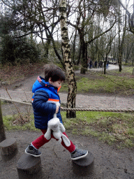 Max on stepping poles at the Safaripark Beekse Bergen