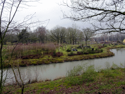 Chimpanzee area at the Safaripark Beekse Bergen