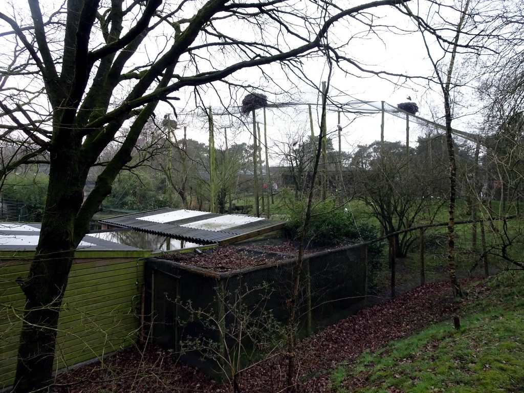 Wetland Aviary at the Safaripark Beekse Bergen