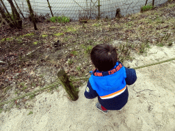 Max with a bird at the playground near the Hamadryas Baboons at the Safaripark Beekse Bergen