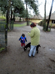 Miaomiao and Max with a Goat at the Petting Zoo at the Afrikadorp village at the Safaripark Beekse Bergen