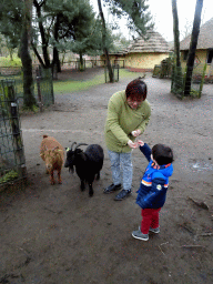 Miaomiao and Max with Goats at the Petting Zoo at the Afrikadorp village at the Safaripark Beekse Bergen