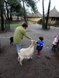 Miaomiao and Max with Goats at the Petting Zoo at the Afrikadorp village at the Safaripark Beekse Bergen