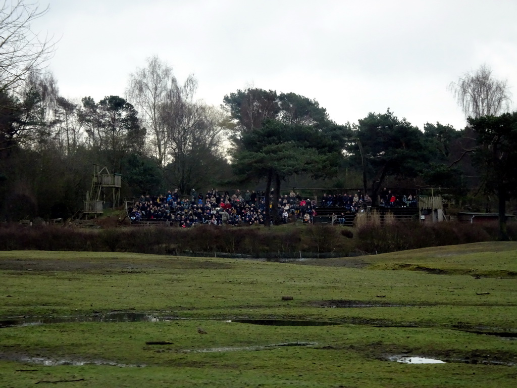 Birds of Prey Safari area at the Safaripark Beekse Bergen, viewed from the car during the Autosafari