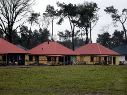 Holiday homes of the Safari Resort at the Safaripark Beekse Bergen, under construction, viewed from the car during the Autosafari