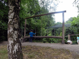 Max at a rope bridge at the Safaripark Beekse Bergen