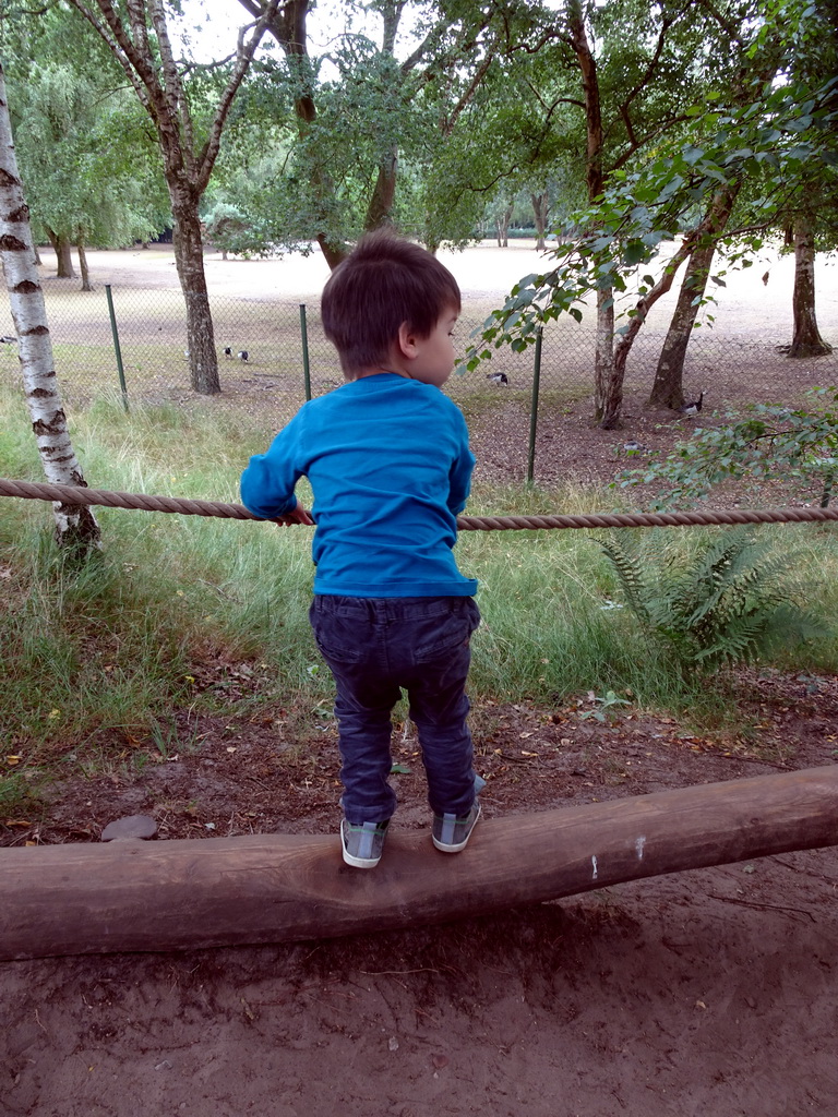 Max on a rope bridge at the Safaripark Beekse Bergen