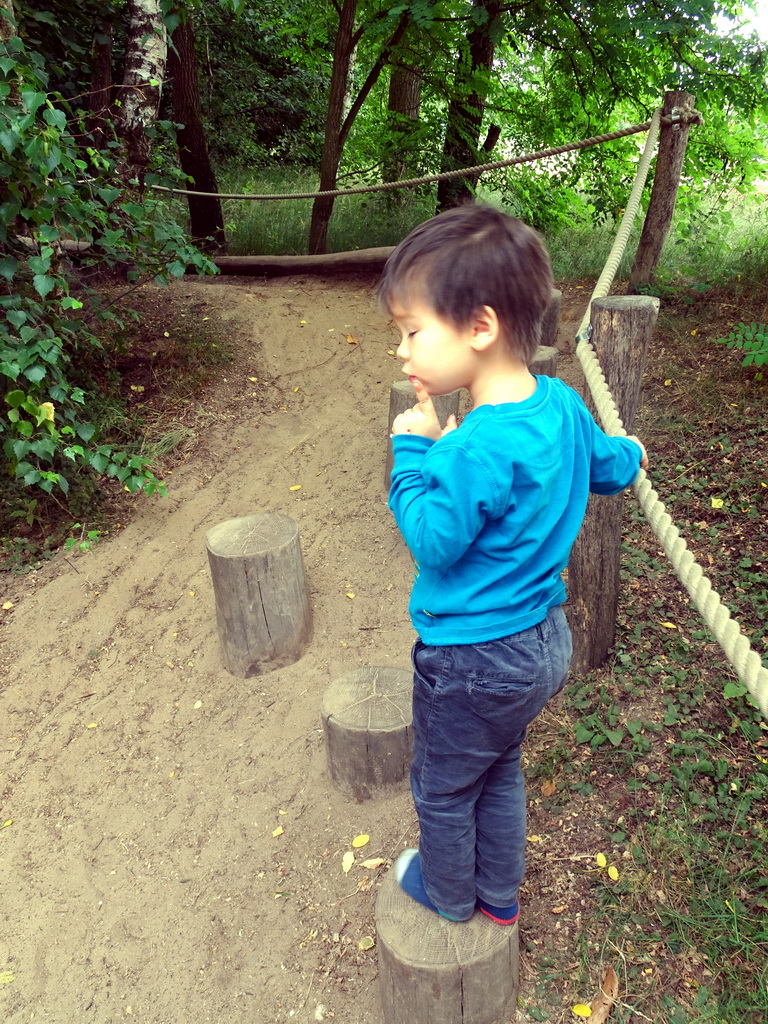 Max on stepping poles at the Safaripark Beekse Bergen