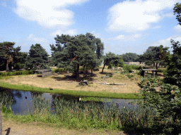 Gorilla area at the Safaripark Beekse Bergen