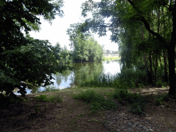 Trees, plants and river at the Safaripark Beekse Bergen