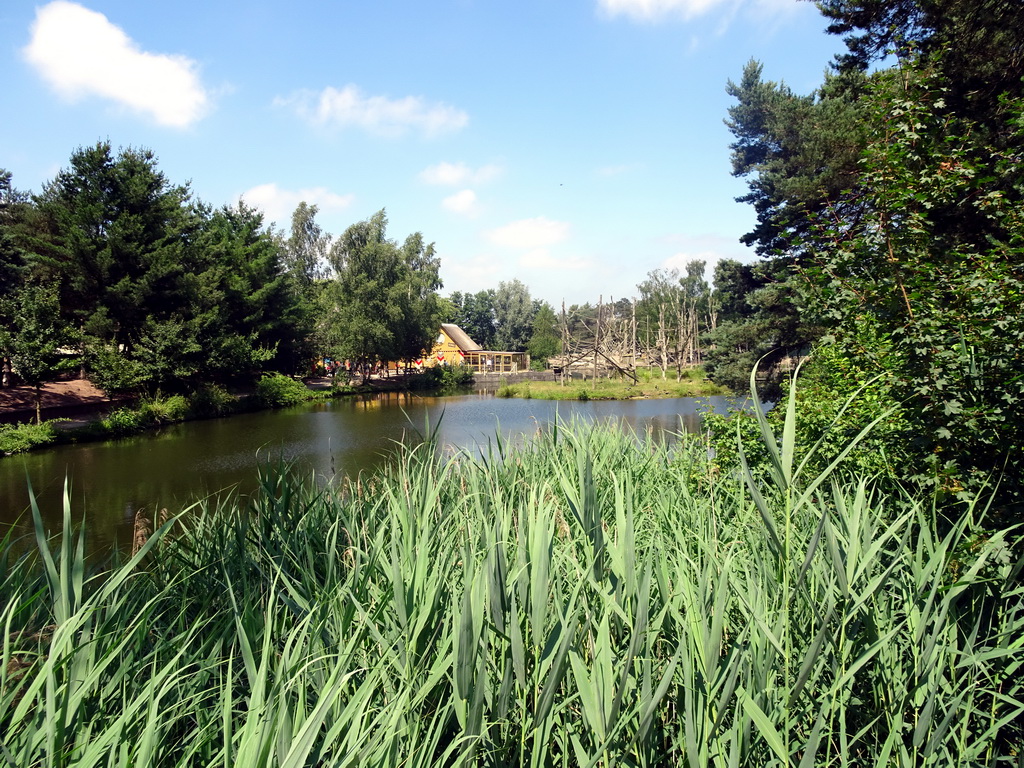 The Kongo restaurant at the Safaripark Beekse Bergen, viewed from the Sloth Bear enclosure at the Safaripark Beekse Bergen