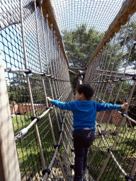 Max at the walkway over the Sloth Bear enclosure at the Safaripark Beekse Bergen