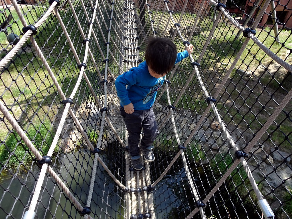 Max at the walkway over the Sloth Bear enclosure at the Safaripark Beekse Bergen