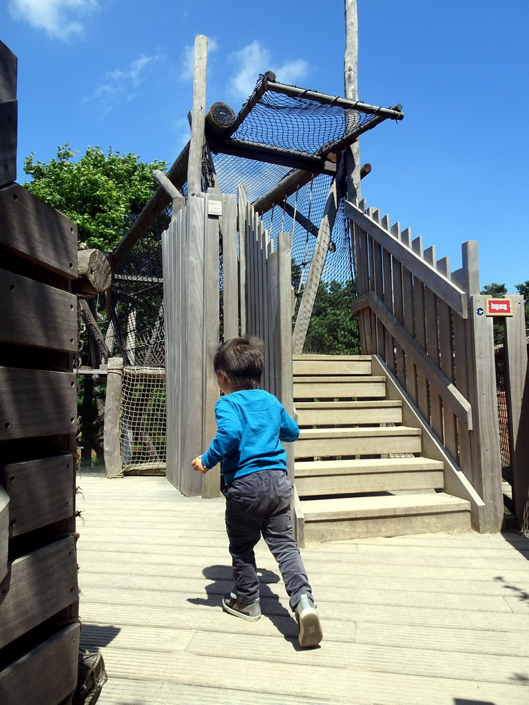 Max at the entrance to the walkway over the Sloth Bear enclosure at the Safaripark Beekse Bergen