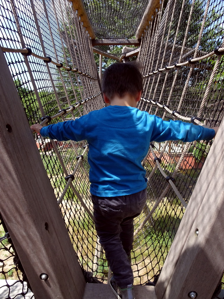 Max at the walkway over the Sloth Bear enclosure at the Safaripark Beekse Bergen