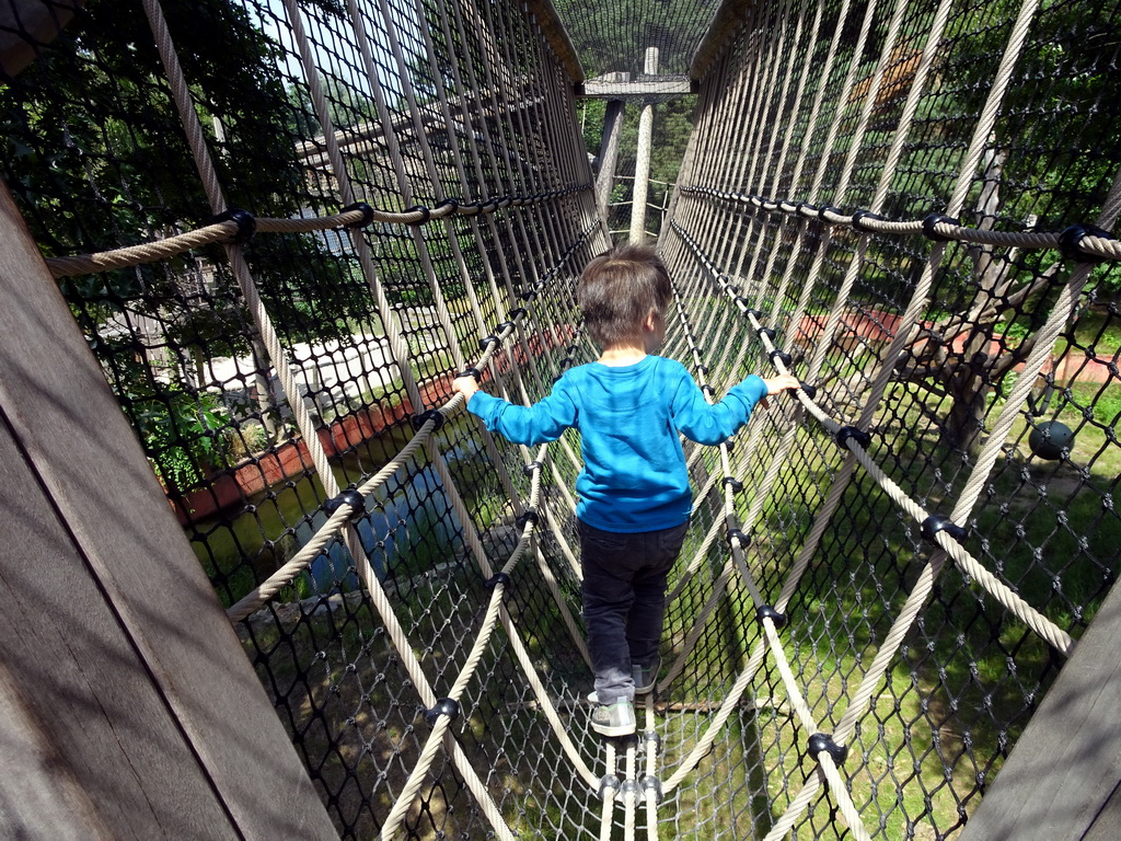 Max at the walkway over the Sloth Bear enclosure at the Safaripark Beekse Bergen