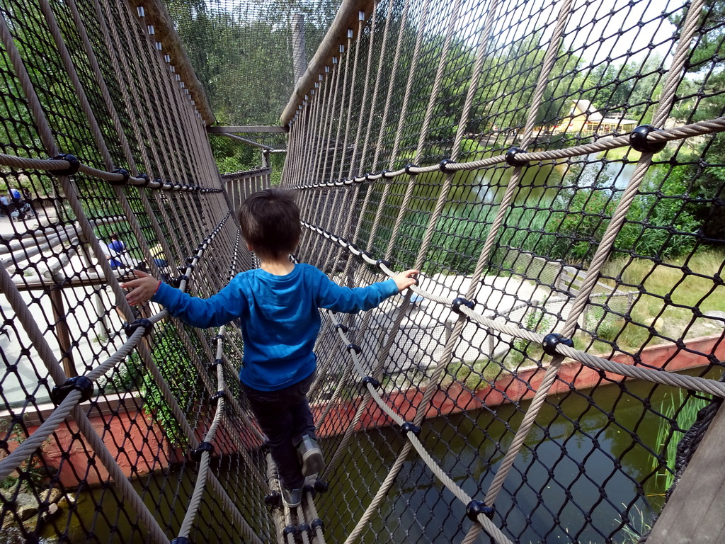 Max at the walkway over the Sloth Bear enclosure at the Safaripark Beekse Bergen