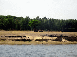 Camels and Przewalski`s Horses at the Safaripark Beekse Bergen, viewed from the safari boat during the Boatsafari