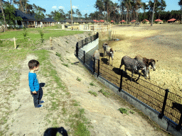 Max on the terrace of our holiday home at the Safari Resort at the Safaripark Beekse Bergen, with a view on Grévy`s Zebras at the Masai Mara area