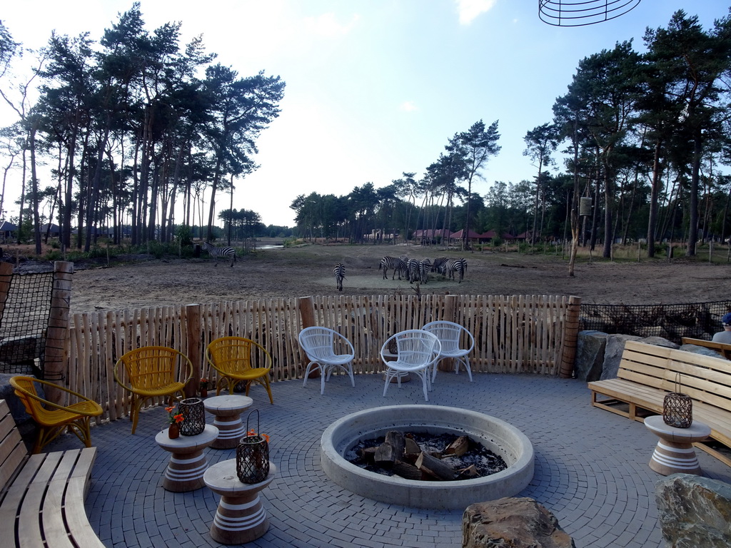 Terrace of Restaurant Moto at Karibu Town at the Safari Resort at the Safaripark Beekse Bergen, with a view on the Serengeti area with Grévy`s Zebras