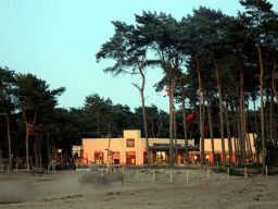 Square-lipped Rhinoceroses at the Serengeti area and the front of Karibu Town at the Safari Resort at the Safaripark Beekse Bergen, at sunset