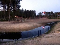 Rothschild`s Giraffes at the Serengeti area at the Safari Resort at the Safaripark Beekse Bergen, at sunset