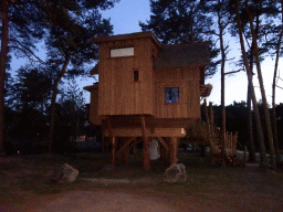 Treehouses at the Safari Resort at the Safaripark Beekse Bergen, at sunset