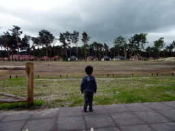 Max on the terrace of our holiday home at the Safari Resort at the Safaripark Beekse Bergen, with a view on the Masai Mara area with Rothschild`s Giraffes