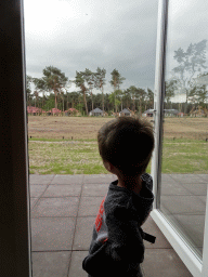 Max in the living room of our holiday home at the Safari Resort at the Safaripark Beekse Bergen, with a view on the Masai Mara area with Rothschild`s Giraffes