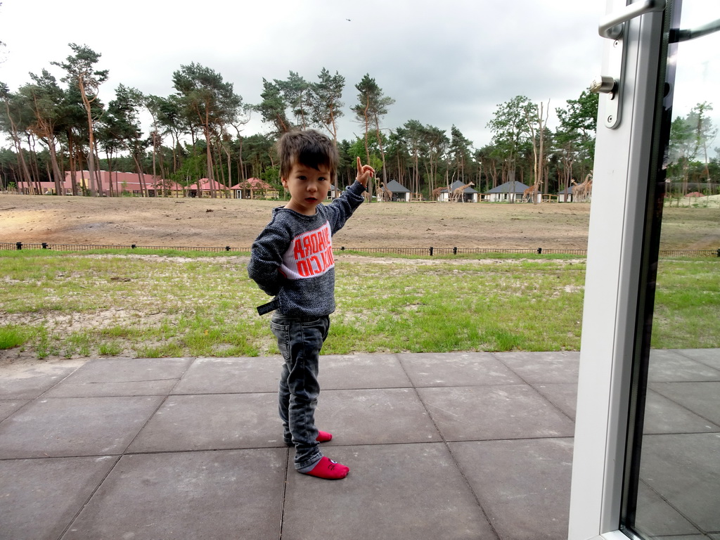 Max on the terrace of our holiday home at the Safari Resort at the Safaripark Beekse Bergen, with a view on the Masai Mara area with Rothschild`s Giraffes