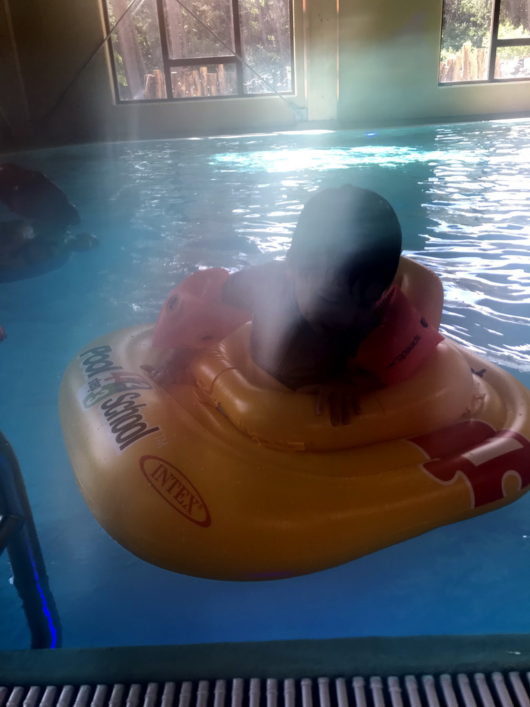 Max in the water at the Maji Springs swimming pool at Karibu Town at the Safari Resort at the Safaripark Beekse Bergen