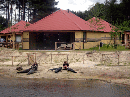 Zookeepers and Seals at the Bahari Beach area at the Safari Resort at the Safaripark Beekse Bergen