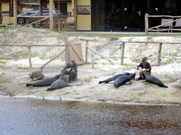 Zookeepers and Seals at the Bahari Beach area at the Safari Resort at the Safaripark Beekse Bergen