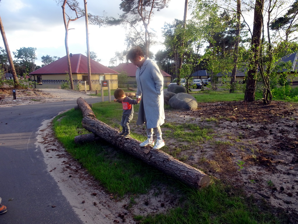 Miaomiao and Max on a tree trunk at the Safari Resort at the Safaripark Beekse Bergen